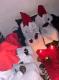 §§§§(((+2349117678351)) §§§ I WANT TO JOIN OCCULT, I WANT TO JOIN OCCULT, HOW TO MAKE MONEY
