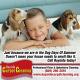 Bayside Carpet Cleaning
